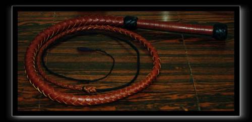 Stockyard whip4FT