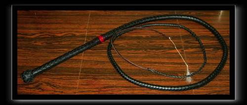 Sport Bullwhip