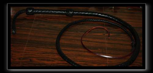 Simple Black Bullwhip